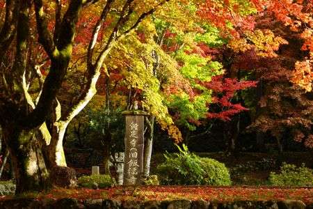 鶏足寺紅葉めぐり①