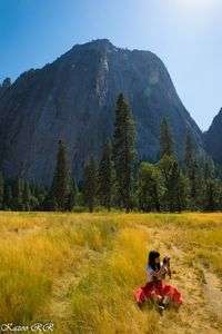 Yosemite Field
