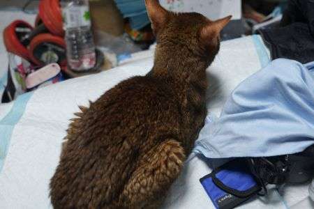 久しぶりの投稿