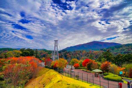 九重夢大吊橋界隈の紅葉