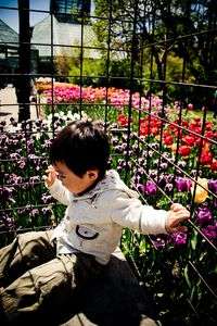 ブルックリン、春