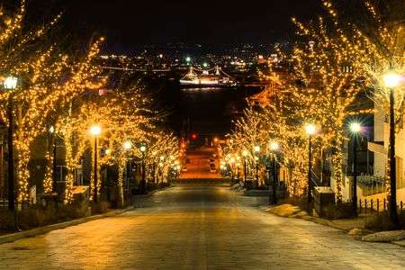 黄金色に輝く一本の坂道