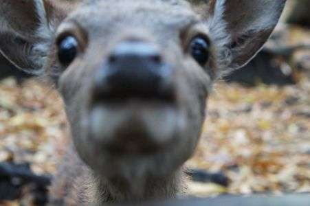 ちょっと恥ずかしいよ＞＜
