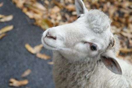 「おっ。どした？」