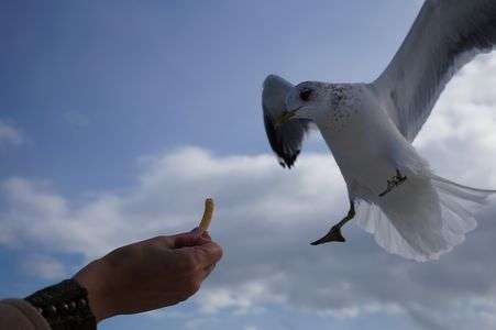 ちょーだい！！