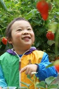 いちごとこたちゃん。