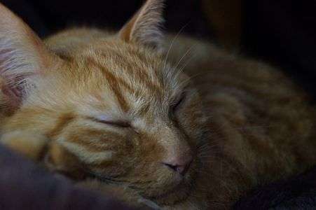 はじめのいっぽ