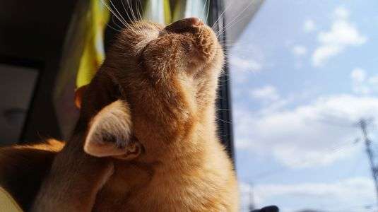 天気いいと最高っすね～♪