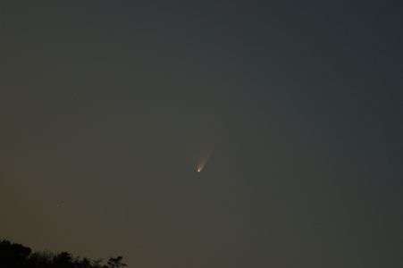 パンスターズ彗星