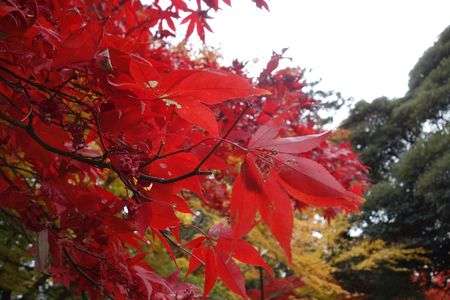 筑波山・去り行く秋