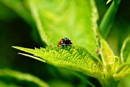 やべっ、見つかった？！