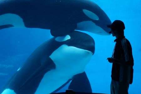 名古屋港水族館