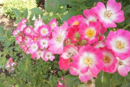 奥行き感でてますか？