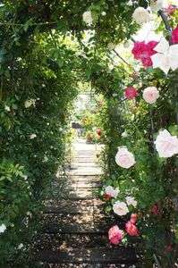 バラのトンネル