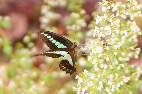 日比谷公園でランチ