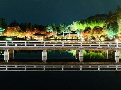 黄葉と紅葉の頃