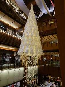 2025 Xmas ＆ Winter Illumination