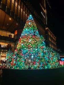 2025 Xmas ＆ Winter Illumination