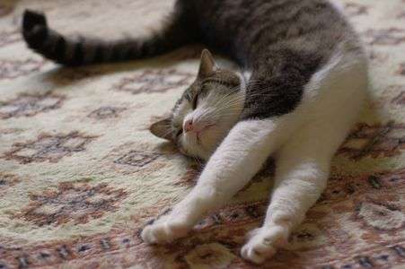 リラーックス♪