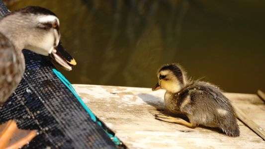 眠くなったの？