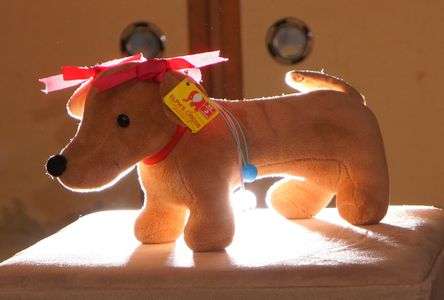 孫のマスコット