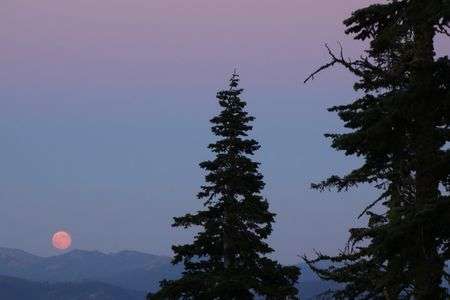 アメリカで見る月