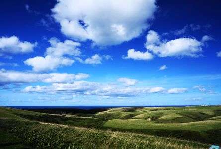 初秋の宗谷丘陵