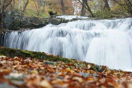 滝と落ち葉