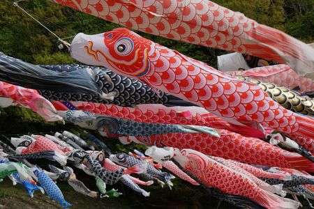 ５月５日めざせ