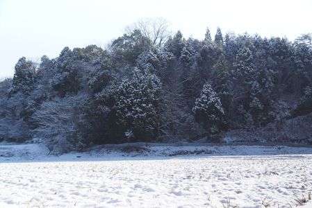 うっすら雪景色。