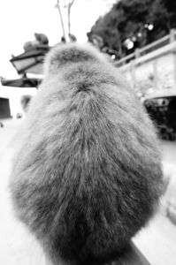 男は背中で語る！！