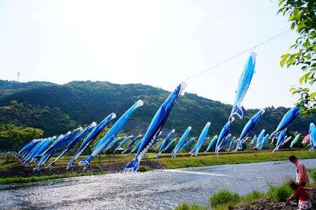 かつおも空を泳ぐよぉ～！