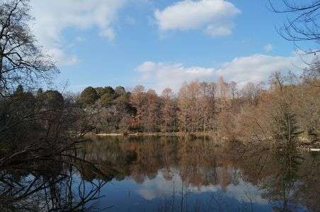 ねこらの居る公園。