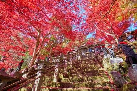 大山寺の紅葉