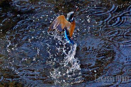 水飛沫のアート