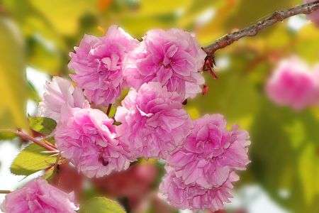 Greetings from the plateau