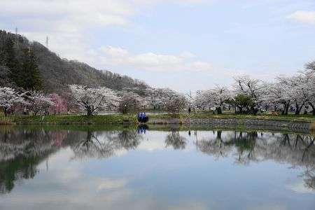 稲荷山治田公園「桜まつり」