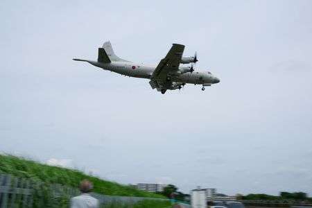 手が届きそう…