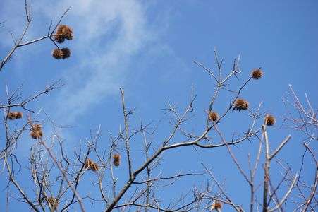 季節間違えてね？