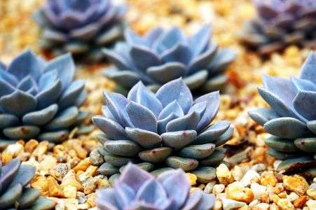 もこ、もこもこもこ！