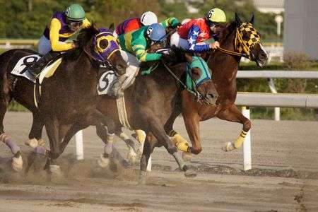 初めての競馬場
