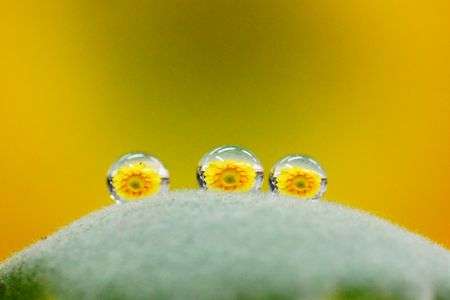 しずくphoto練習中～