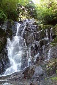 マイナスイオーン！