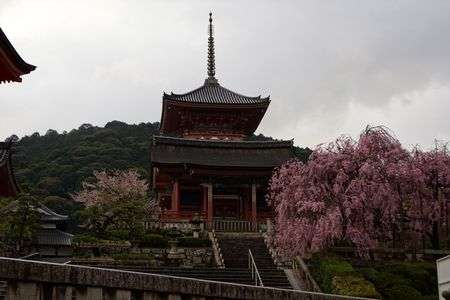 清水寺を貸し切った！