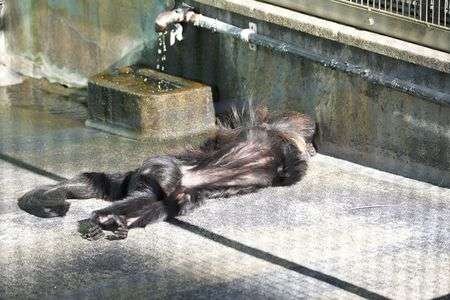 寝そべりモップくん