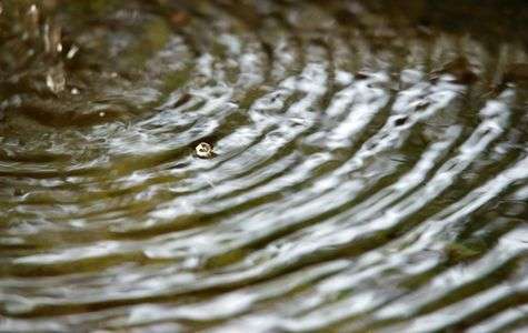 波紋（せせらぎ）