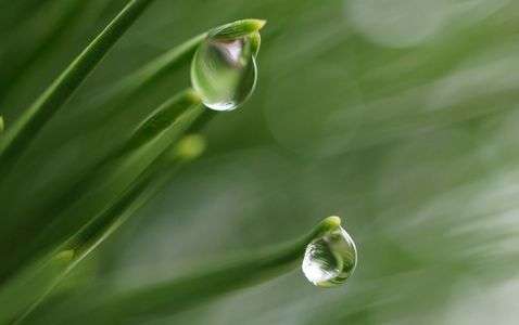 雨上がりの贈り物