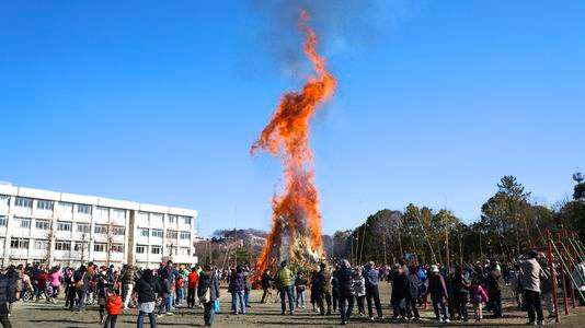 「どんと焼き 2013」