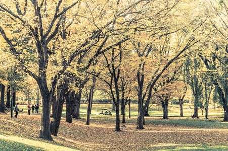 紅葉三景　その１