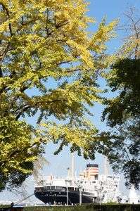 黄葉の氷川丸